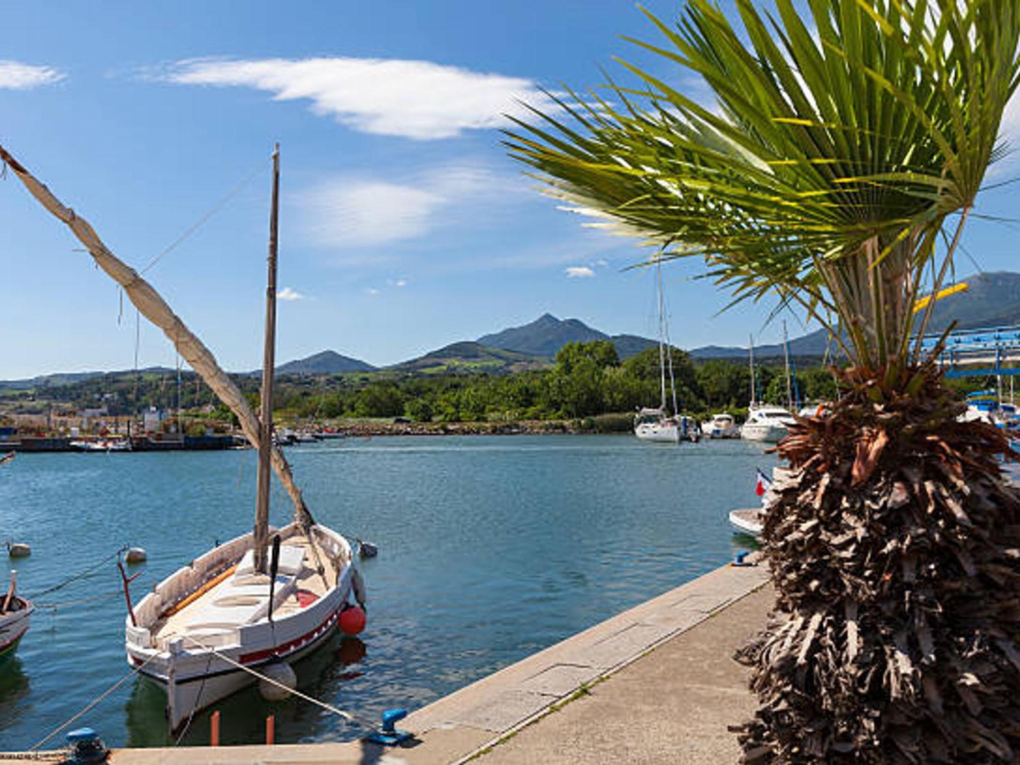 Pavillon Climatise Avec Terrasse, 10 Min. De La Plage, Parking Privatif Inclus, Tout Confort - Fr-1-732-45 อาร์เจเลส-ซัวร์-แมร์ ภายนอก รูปภาพ